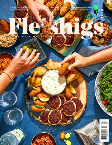 Fleishigs - Magazine