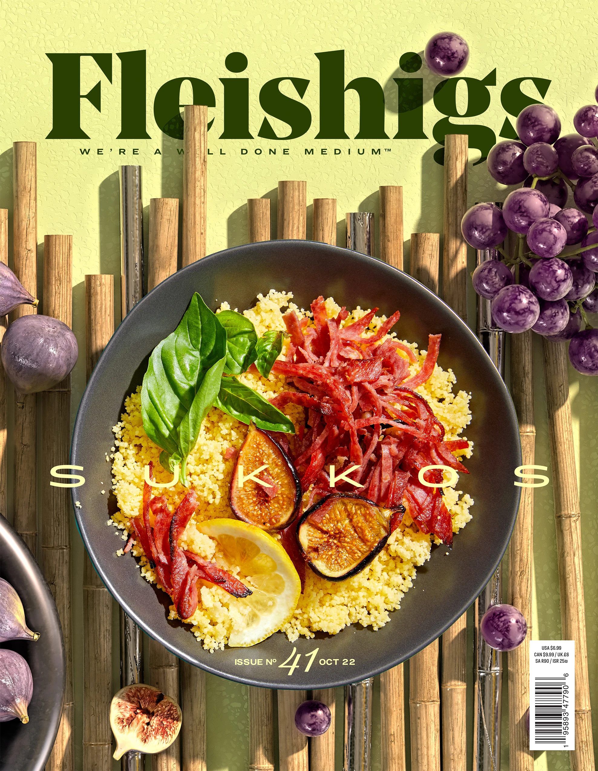 Fleishigs - Magazine
